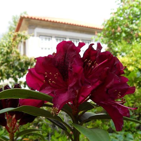 Quinta Do Bento Novo - Casa De Campo - Turismo Rural Viana do Castelo Bagian luar foto