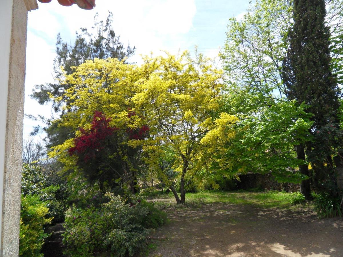 Quinta Do Bento Novo - Casa De Campo - Turismo Rural Viana do Castelo Bagian luar foto
