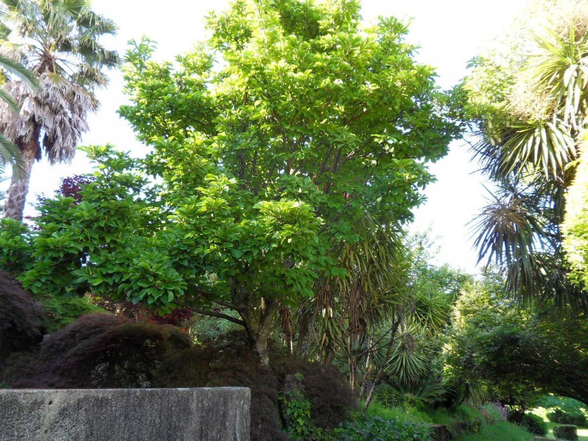 Quinta Do Bento Novo - Casa De Campo - Turismo Rural Viana do Castelo Bagian luar foto