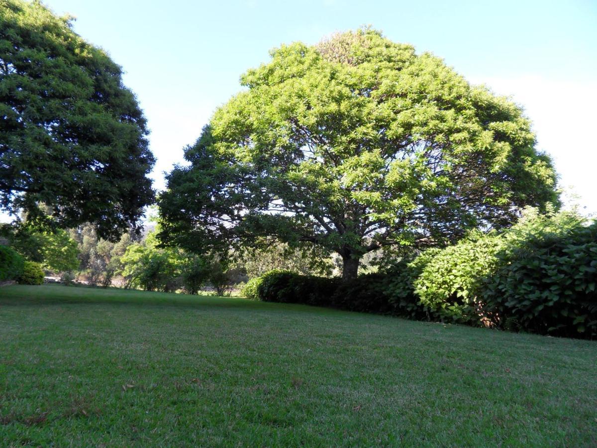 Quinta Do Bento Novo - Casa De Campo - Turismo Rural Viana do Castelo Bagian luar foto