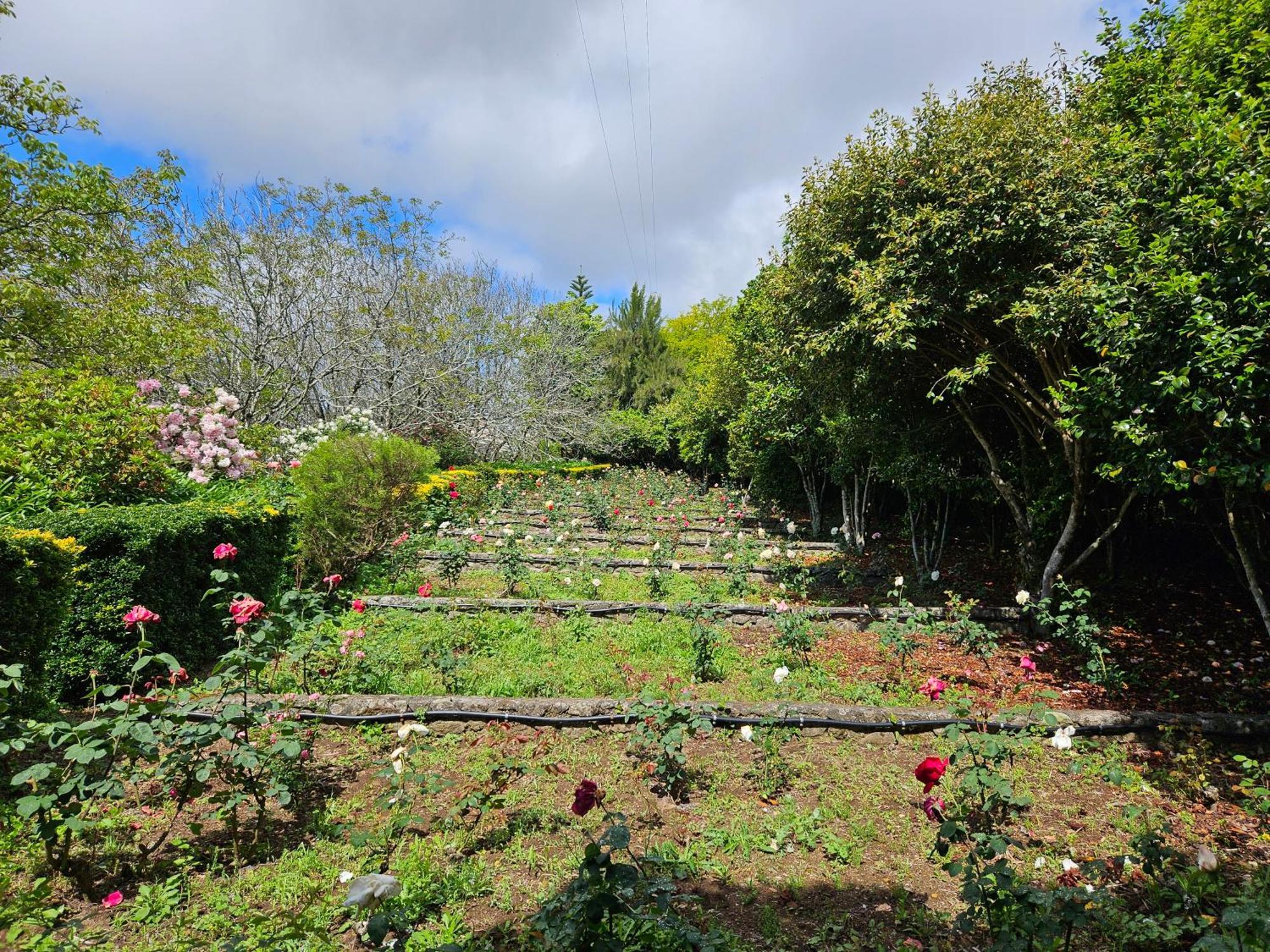 Quinta Do Bento Novo - Casa De Campo - Turismo Rural Viana do Castelo Bagian luar foto
